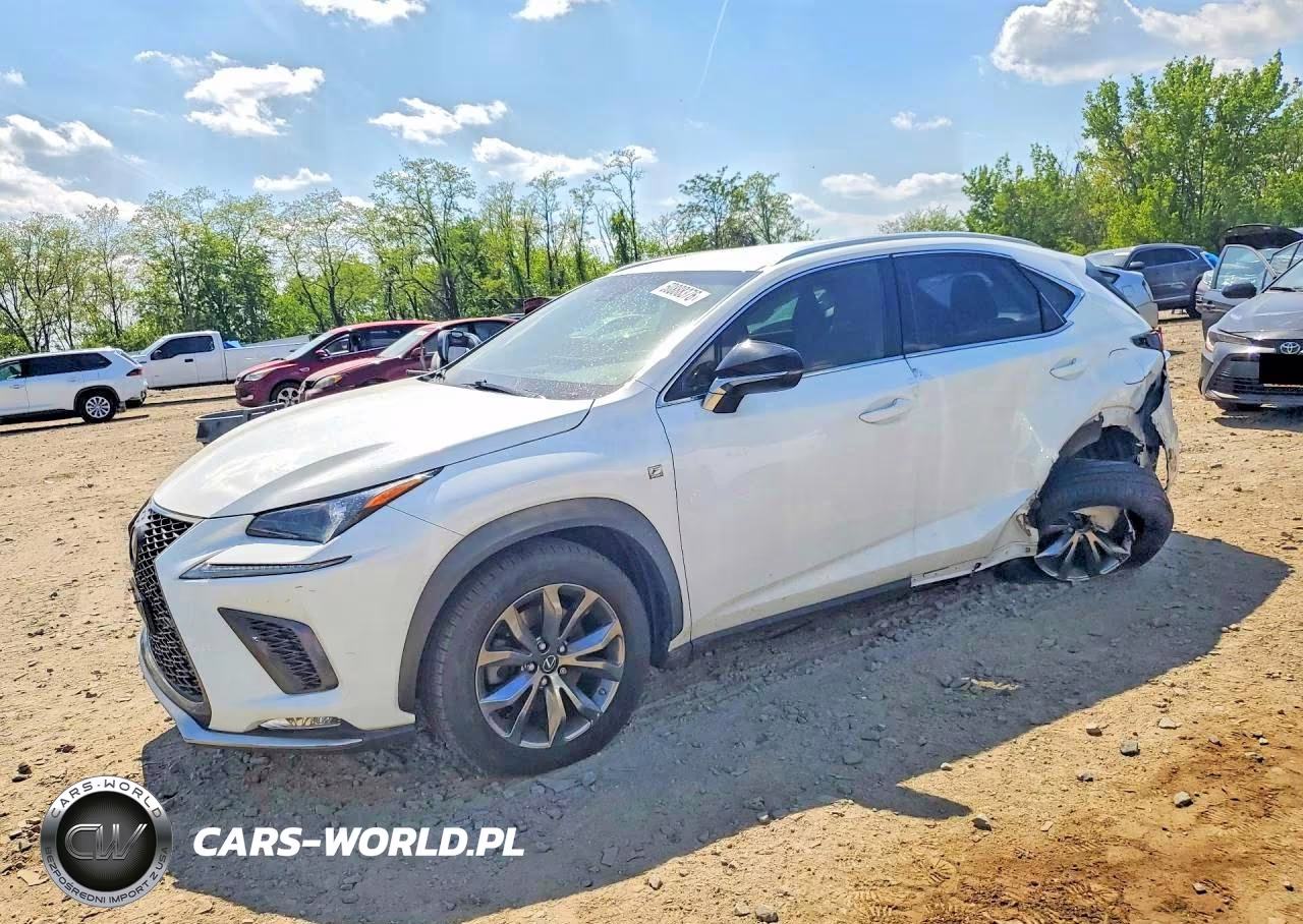 2019 Lexus Nx 300 F Sport