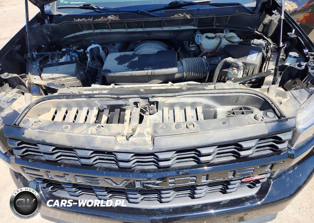 2021 Chevrolet Silverado K1500 Trail Boss Custom VIN:1GCPYCEFXMZ281649 - 11