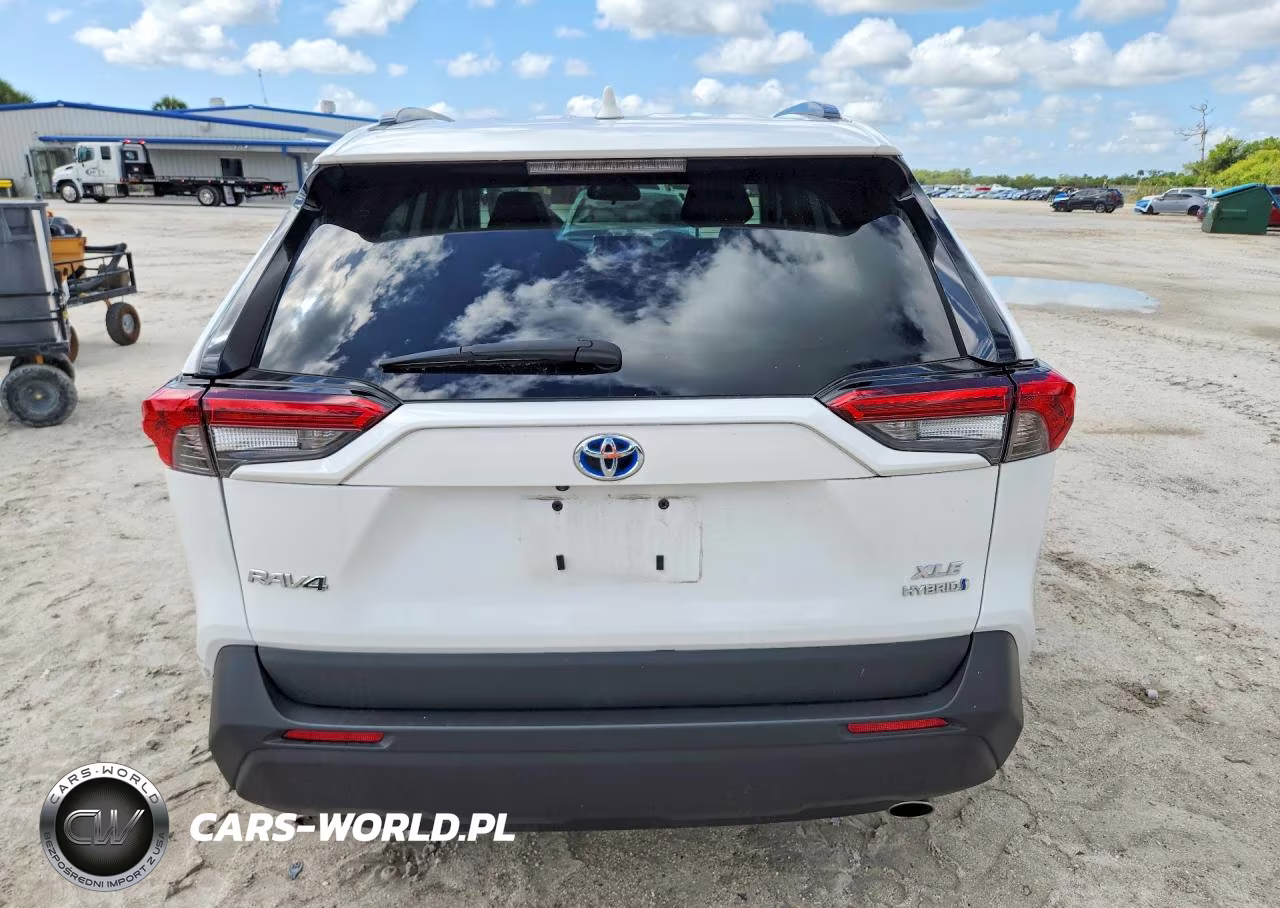 2024 Toyota Rav4 Hybrid Xle VIN:4T3RWRFV9RU149142 - 6