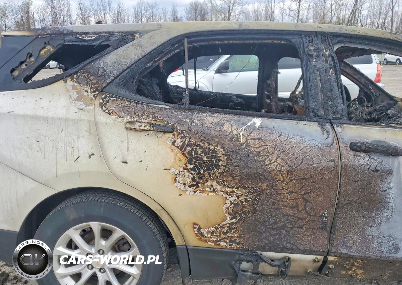 2019 Chevrolet Equinox Ls VIN:2GNAXSEV7K6160071 - 11