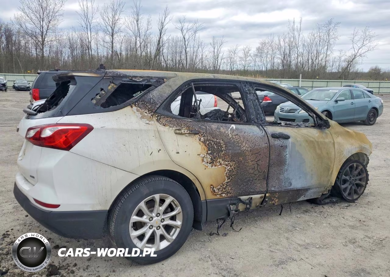 2019 Chevrolet Equinox Ls VIN:2GNAXSEV7K6160071 - 3
