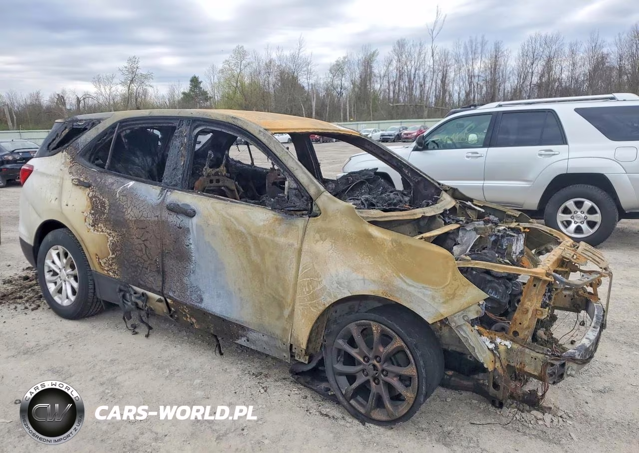 2019 Chevrolet Equinox Ls VIN:2GNAXSEV7K6160071 - 4