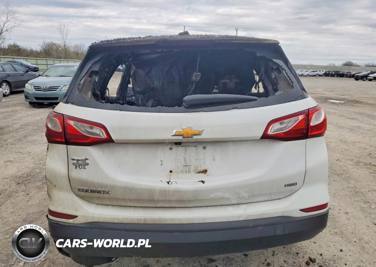 2019 Chevrolet Equinox Ls VIN:2GNAXSEV7K6160071 - 6