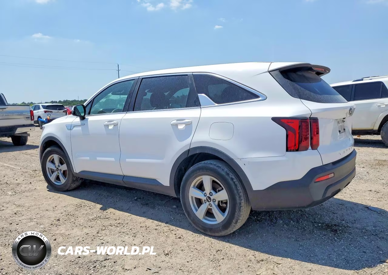 2021 Kia Sorento Lx VIN:5XYRG4LC7MG067369 - 2