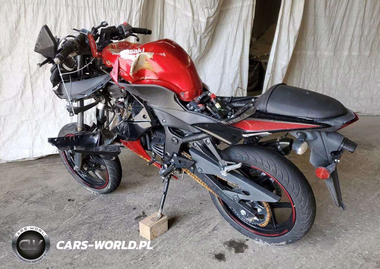 2010 Kawasaki Ex250 J VIN:JKAEXMJ1XADA64957 - 3