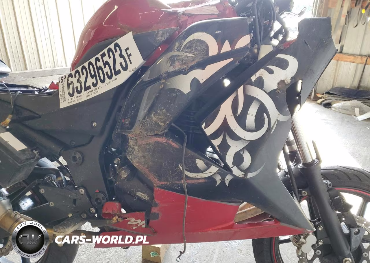 2010 Kawasaki Ex250 J VIN:JKAEXMJ1XADA64957 - 7