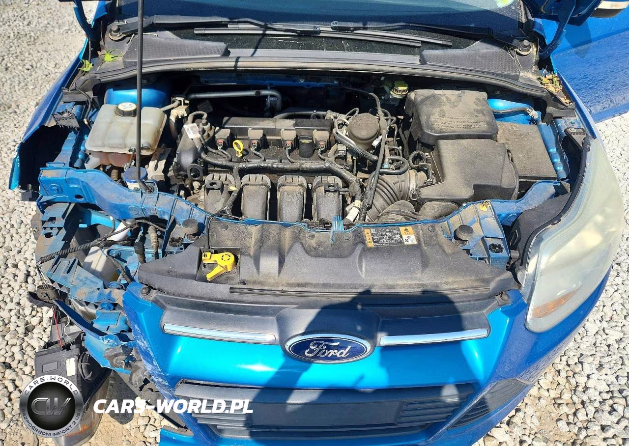 2014 Ford Focus Se VIN:1FADP3F24EL457669 - 11