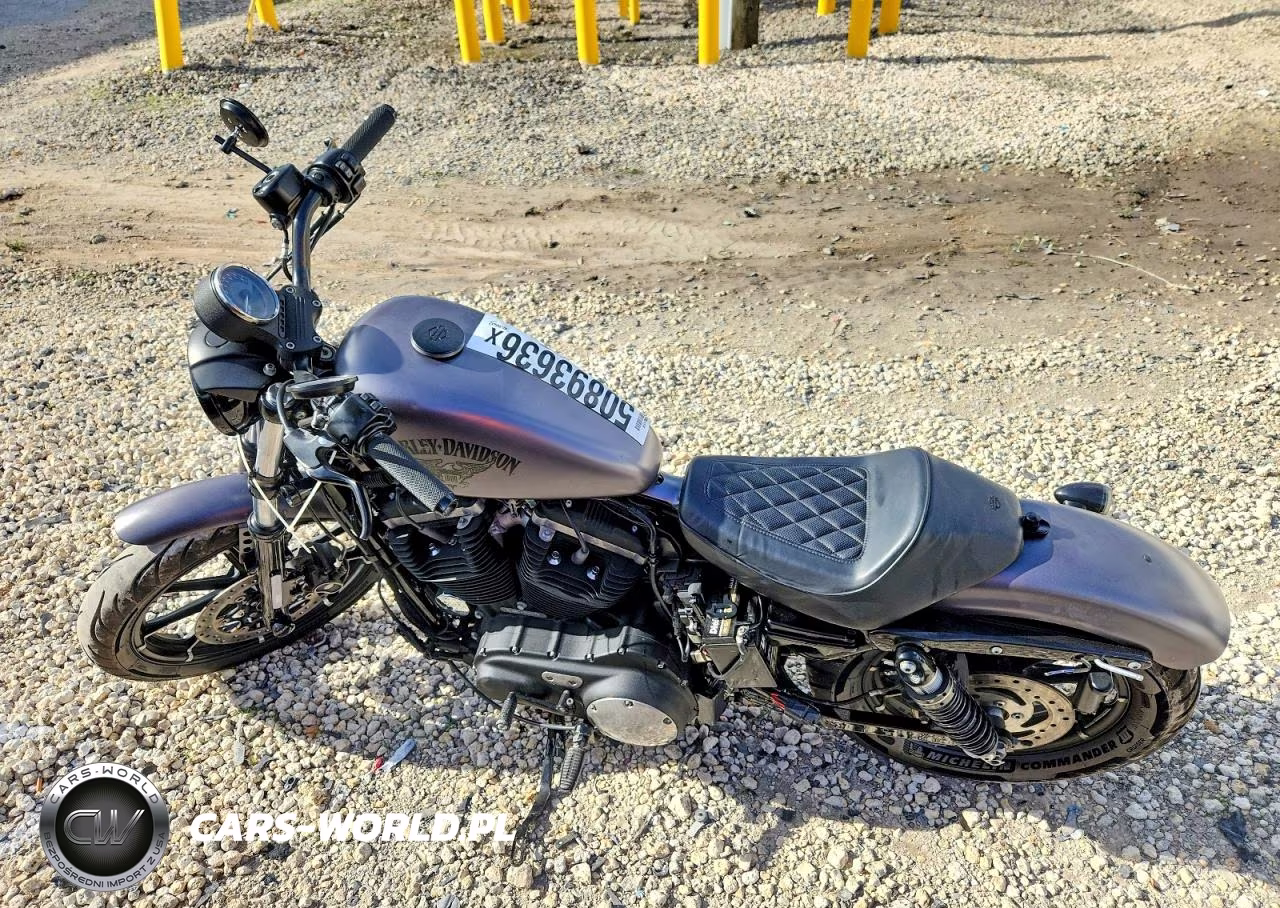 2016 Harley-Davidson Xl883 Iron 883 VIN:1HD4LE213GC405823 - 3