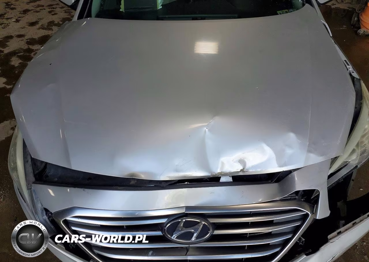 2015 Hyundai Sonata Se VIN:5NPE24AF9FH166703 - 11