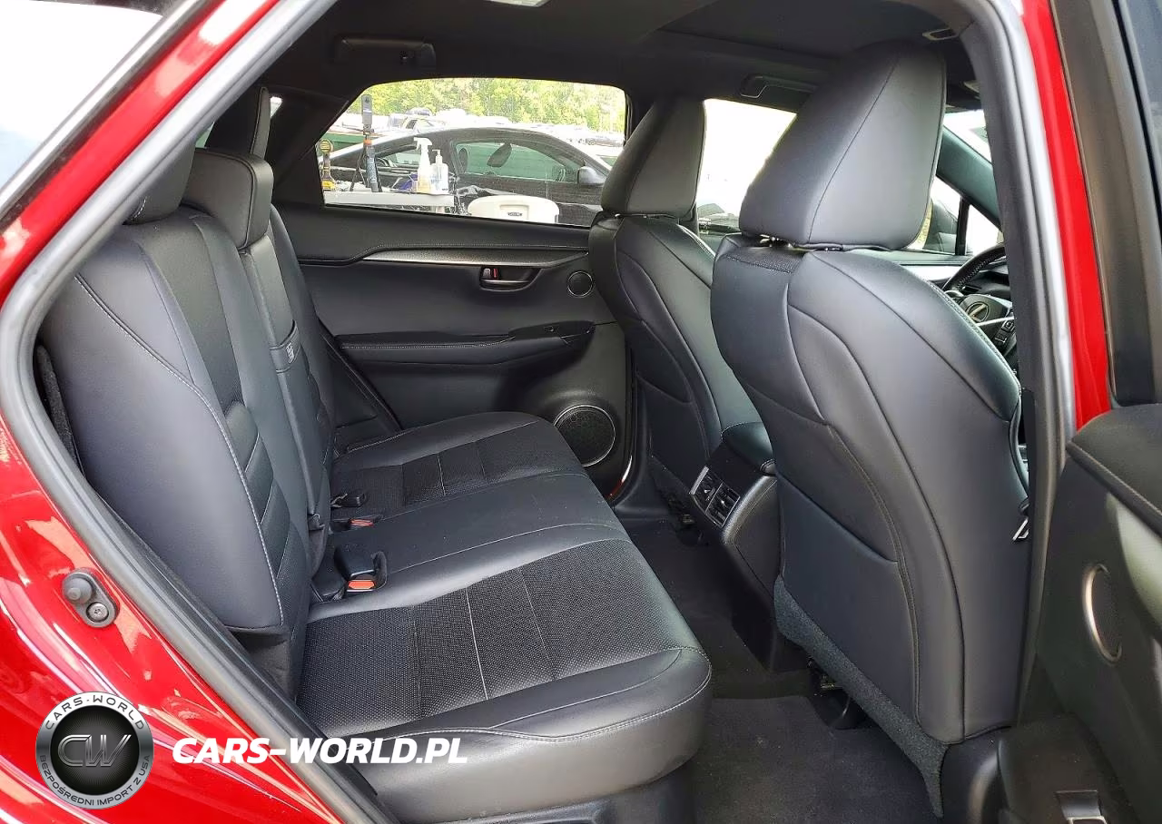 2019 Lexus Nx 300 F Sport VIN:JTJYARBZ2K2147523 - 10