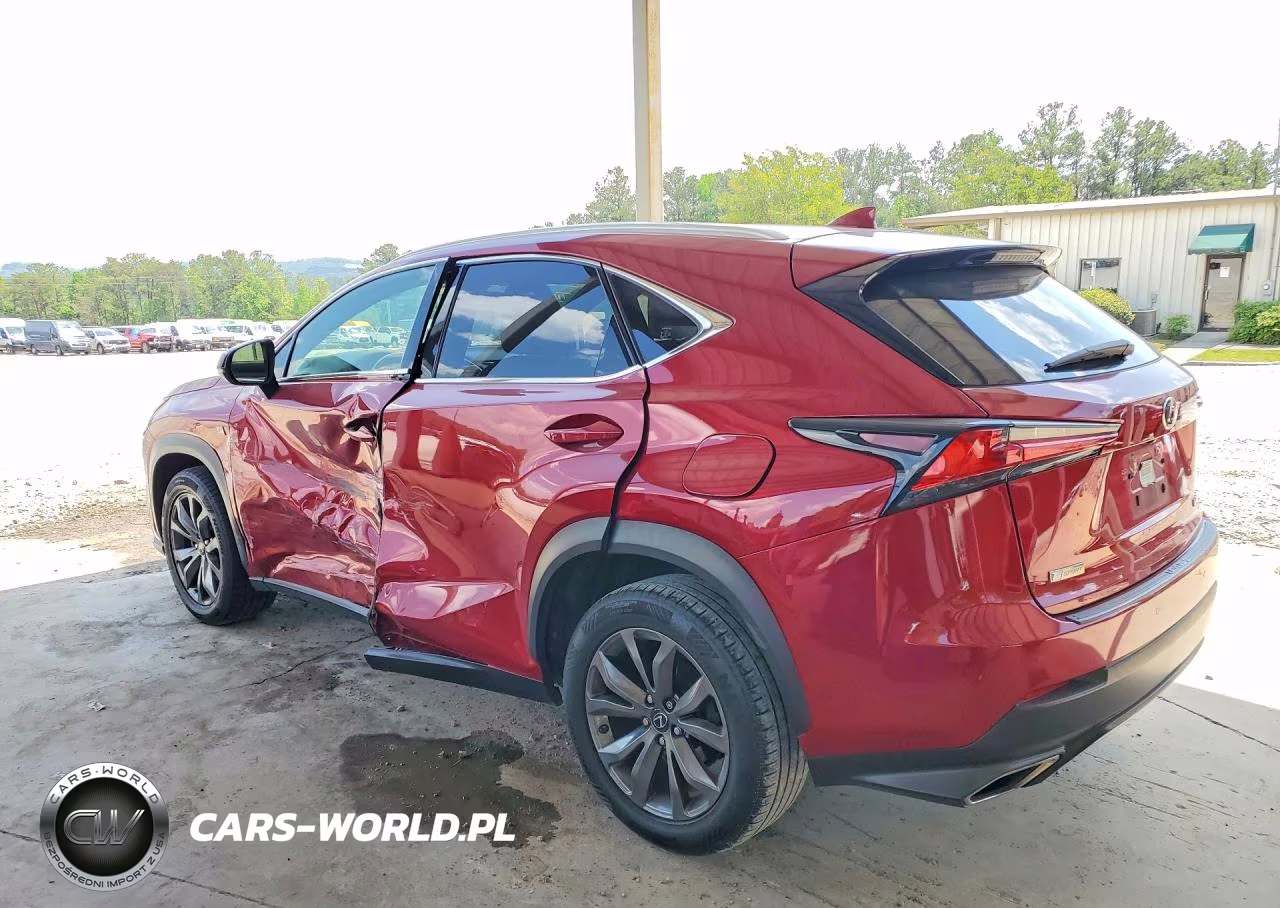 2019 Lexus Nx 300 F Sport VIN:JTJYARBZ2K2147523 - 2