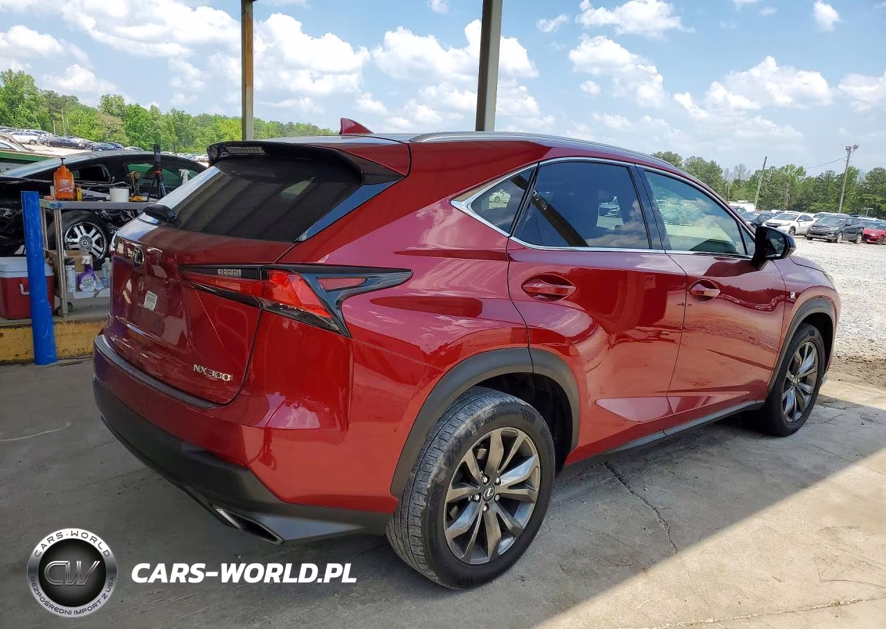 2019 Lexus Nx 300 F Sport VIN:JTJYARBZ2K2147523 - 3
