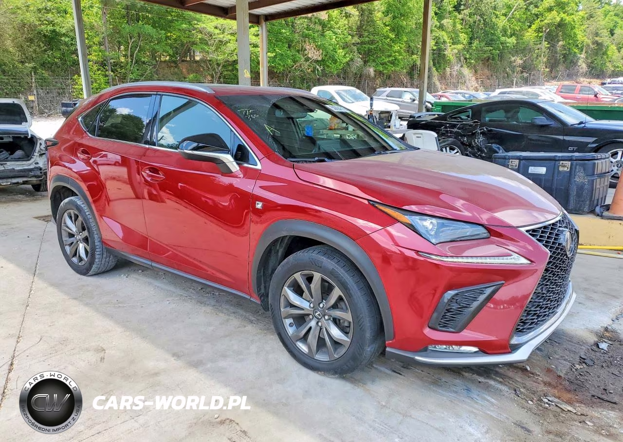 2019 Lexus Nx 300 F Sport VIN:JTJYARBZ2K2147523 - 4