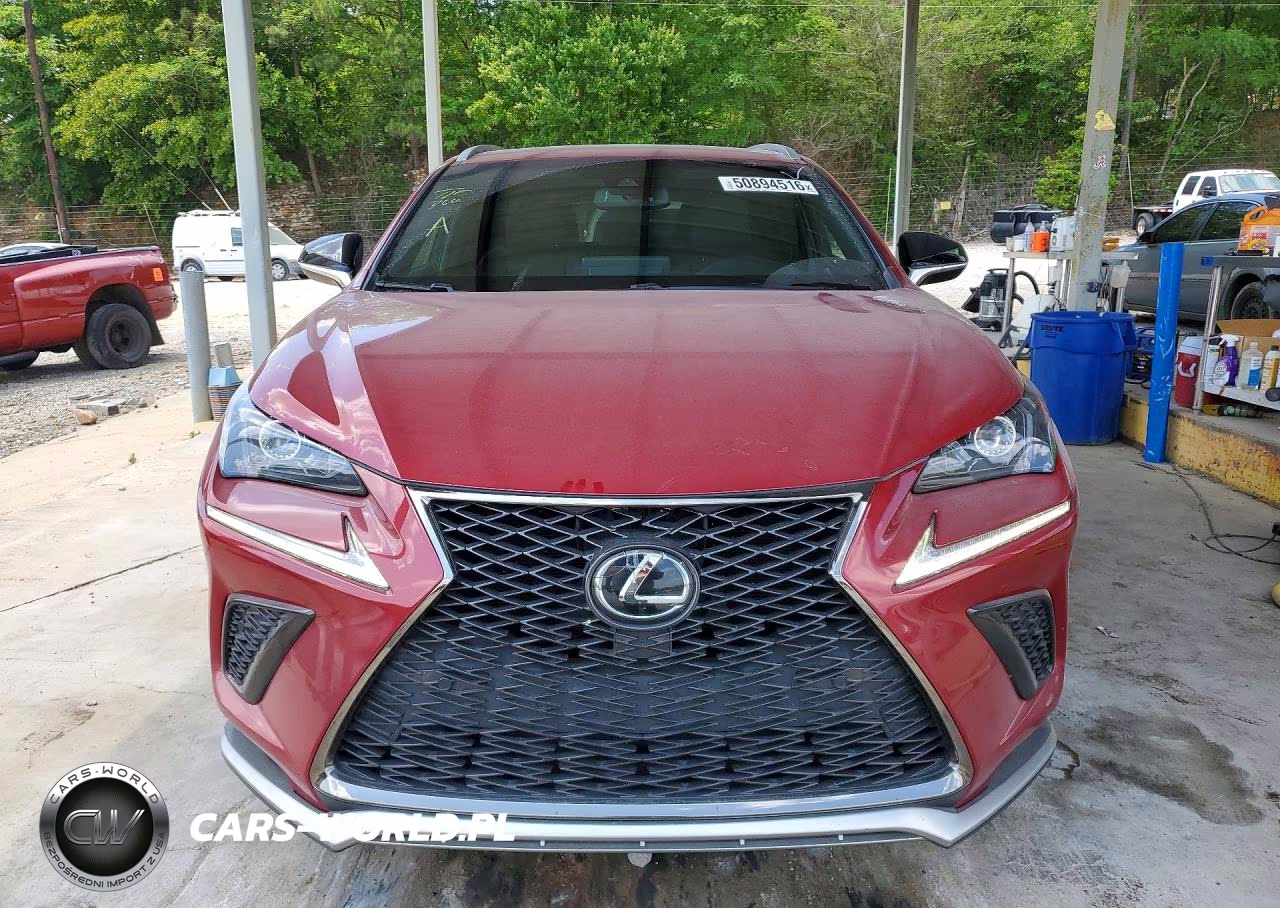 2019 Lexus Nx 300 F Sport VIN:JTJYARBZ2K2147523 - 5
