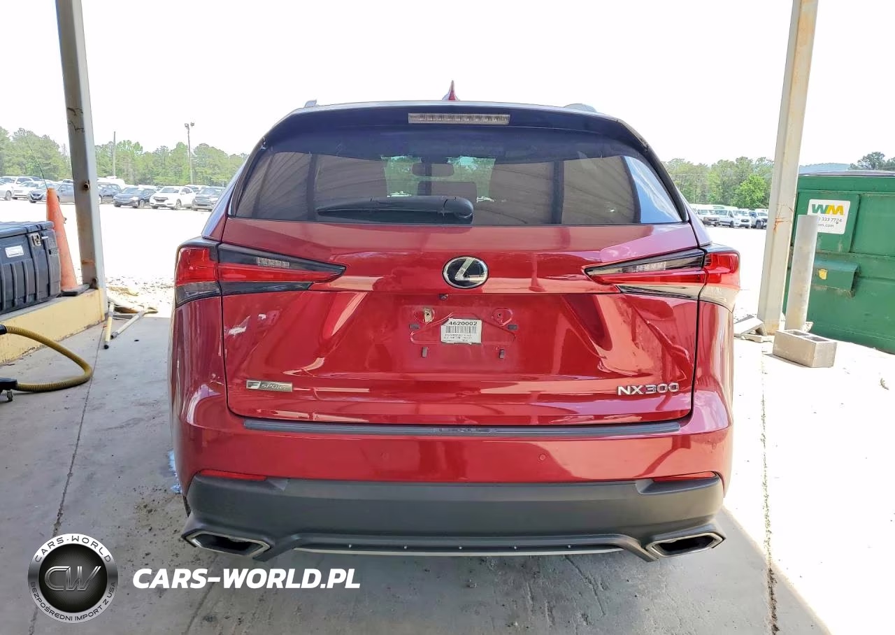 2019 Lexus Nx 300 F Sport VIN:JTJYARBZ2K2147523 - 6