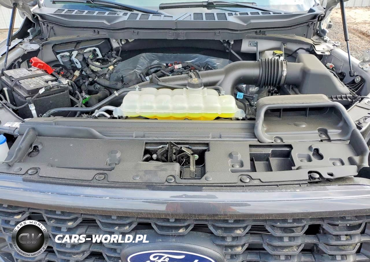 2025 Ford F150 Stx VIN:1FTEW2LP7SKD94418 - 12
