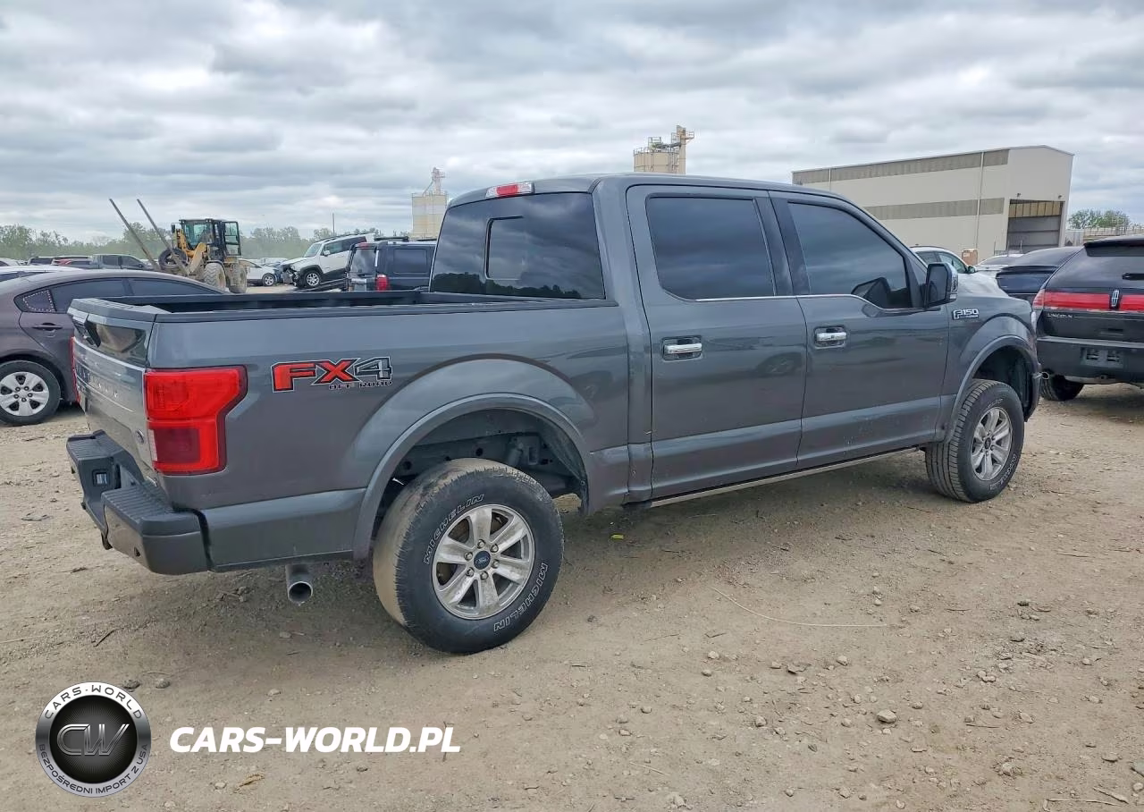 2020 Ford F150 VIN:1FTEW1E41LFC59152 - 3