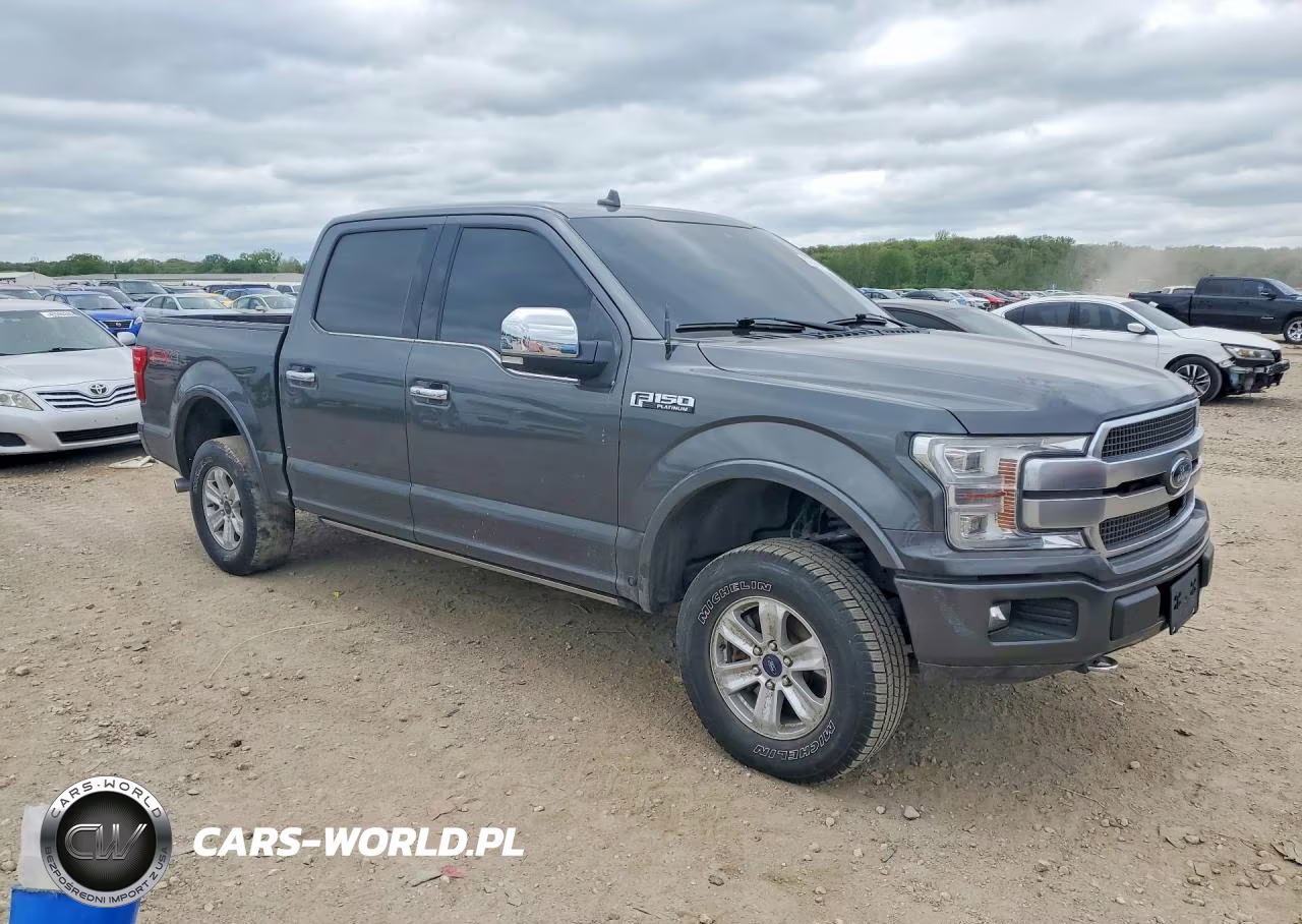 2020 Ford F150 VIN:1FTEW1E41LFC59152 - 4