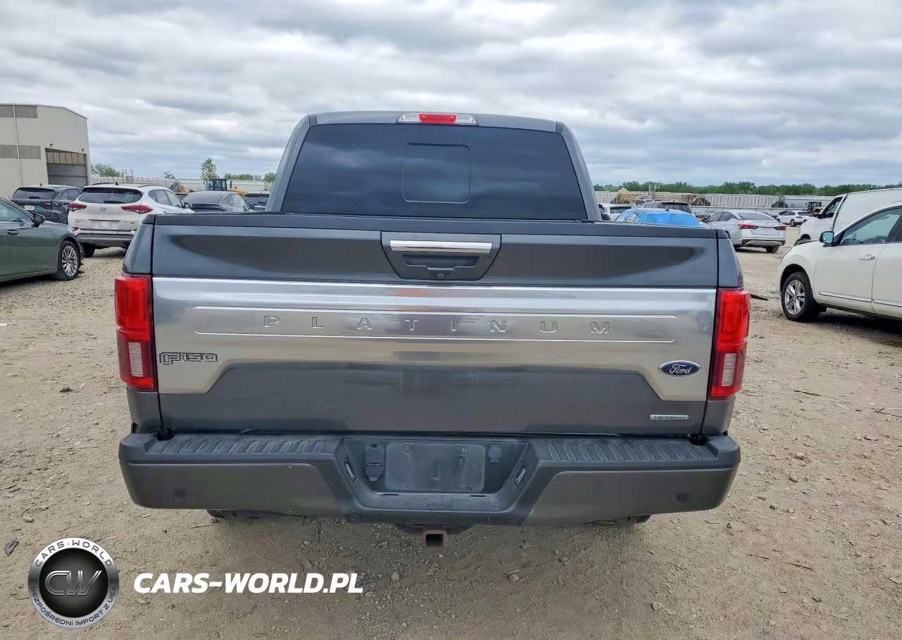 2020 Ford F150 VIN:1FTEW1E41LFC59152 - 6