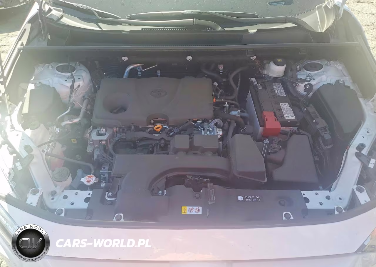 2025 Toyota Rav4 Xle VIN:2T3W1RFV0SW398307 - 12