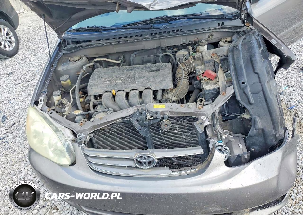2004 Toyota Corolla Le VIN:1NXBR32E84Z325059 - 11