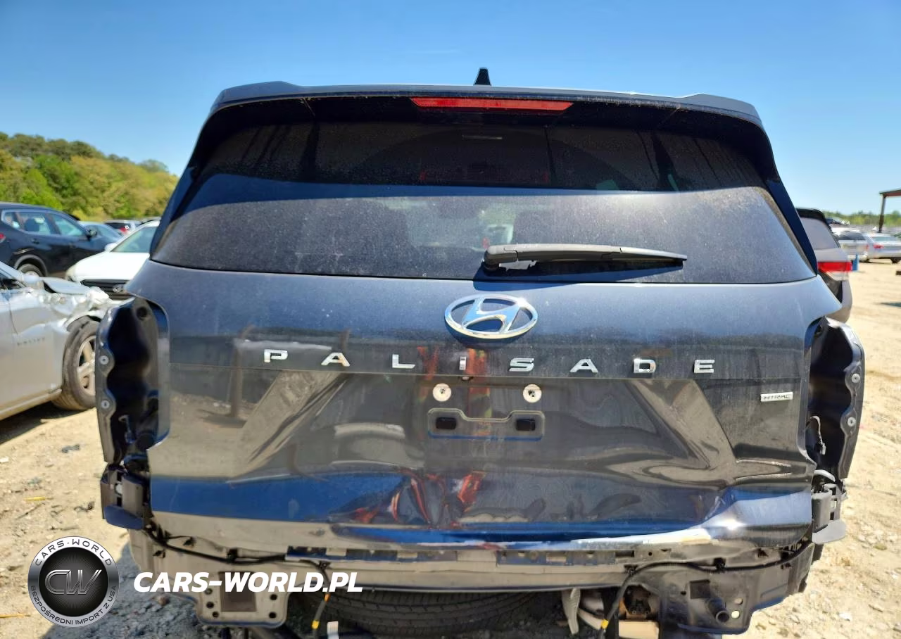 2020 Hyundai Palisade Limited VIN:KM8R5DHE4LU112065 - 6