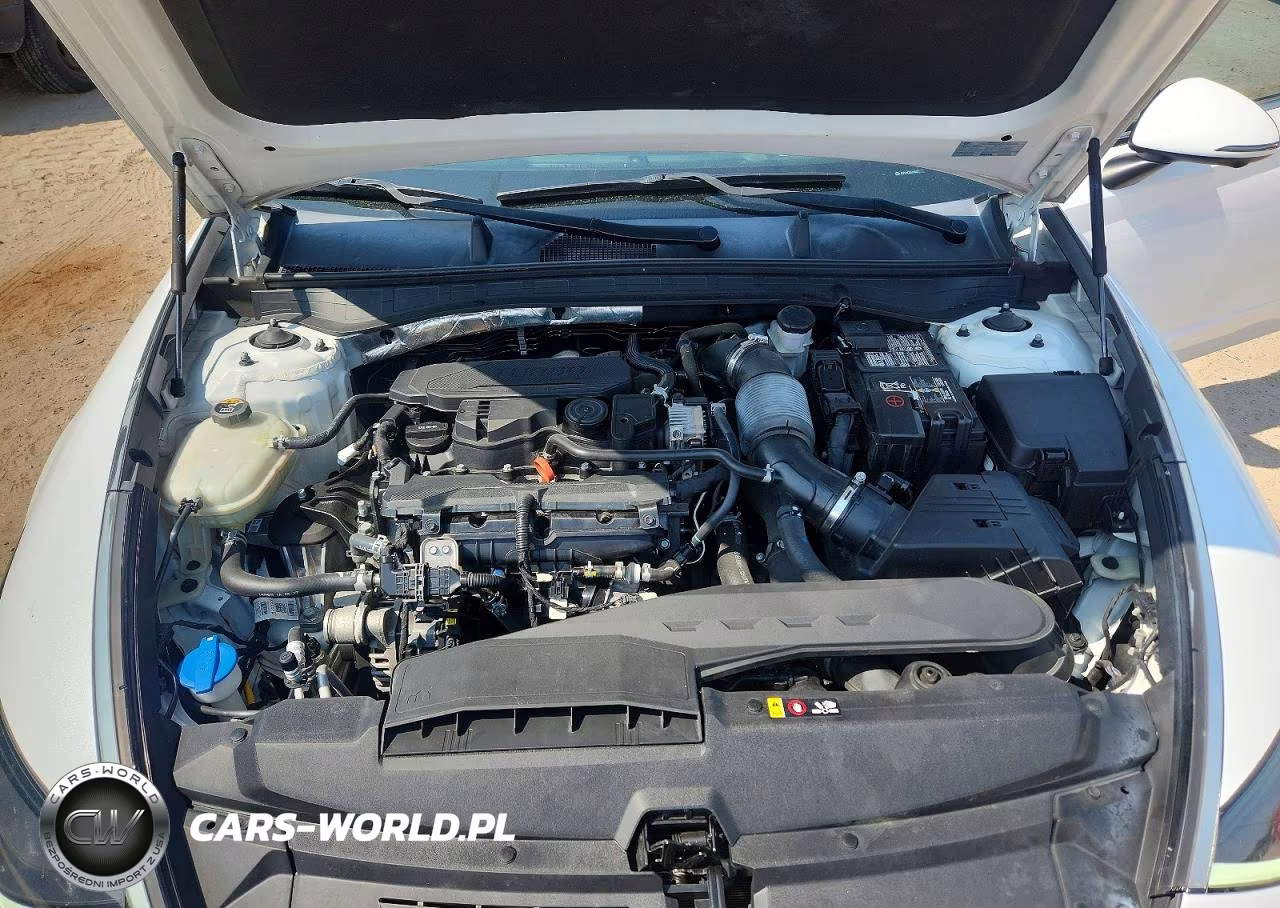 2020 Hyundai Sonata Limited VIN:5NPEH4J25LH003277 - 11