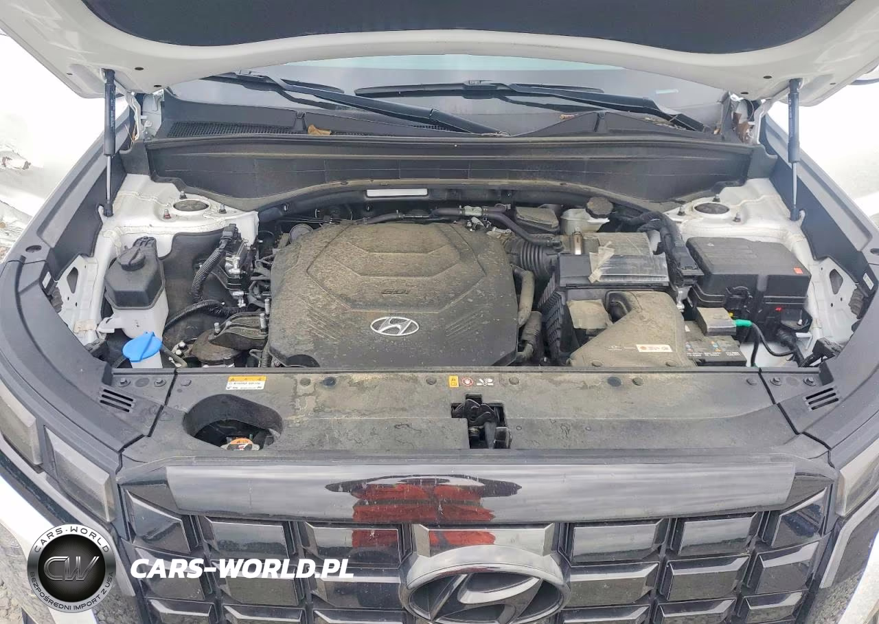 2024 Hyundai Palisade Xrt VIN:KM8R34GE0RU725493 - 12