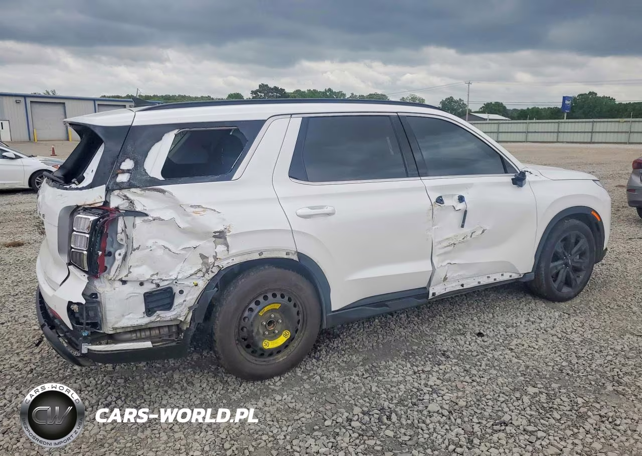 2024 Hyundai Palisade Xrt VIN:KM8R34GE0RU725493 - 3