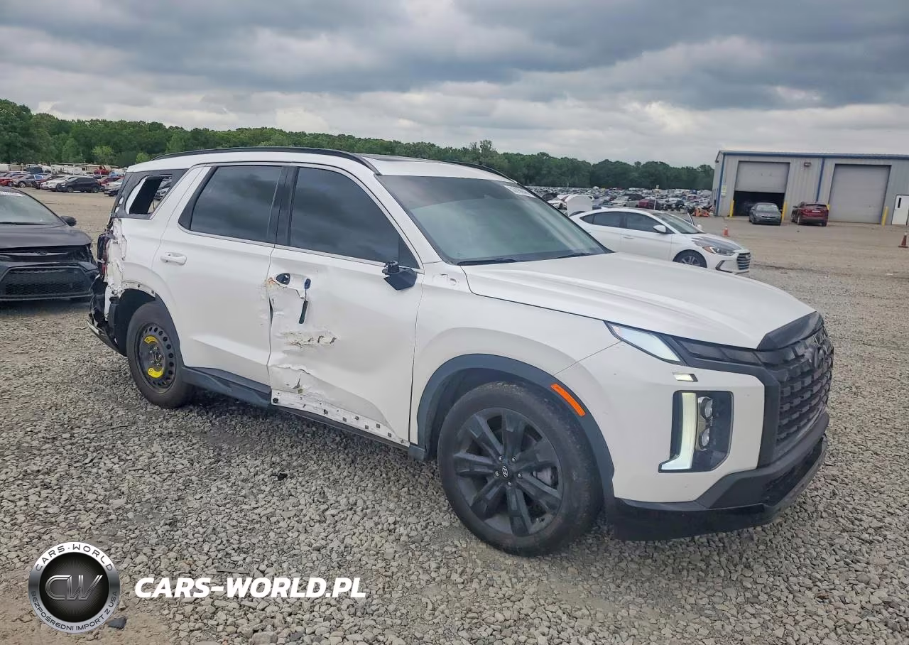 2024 Hyundai Palisade Xrt VIN:KM8R34GE0RU725493 - 4