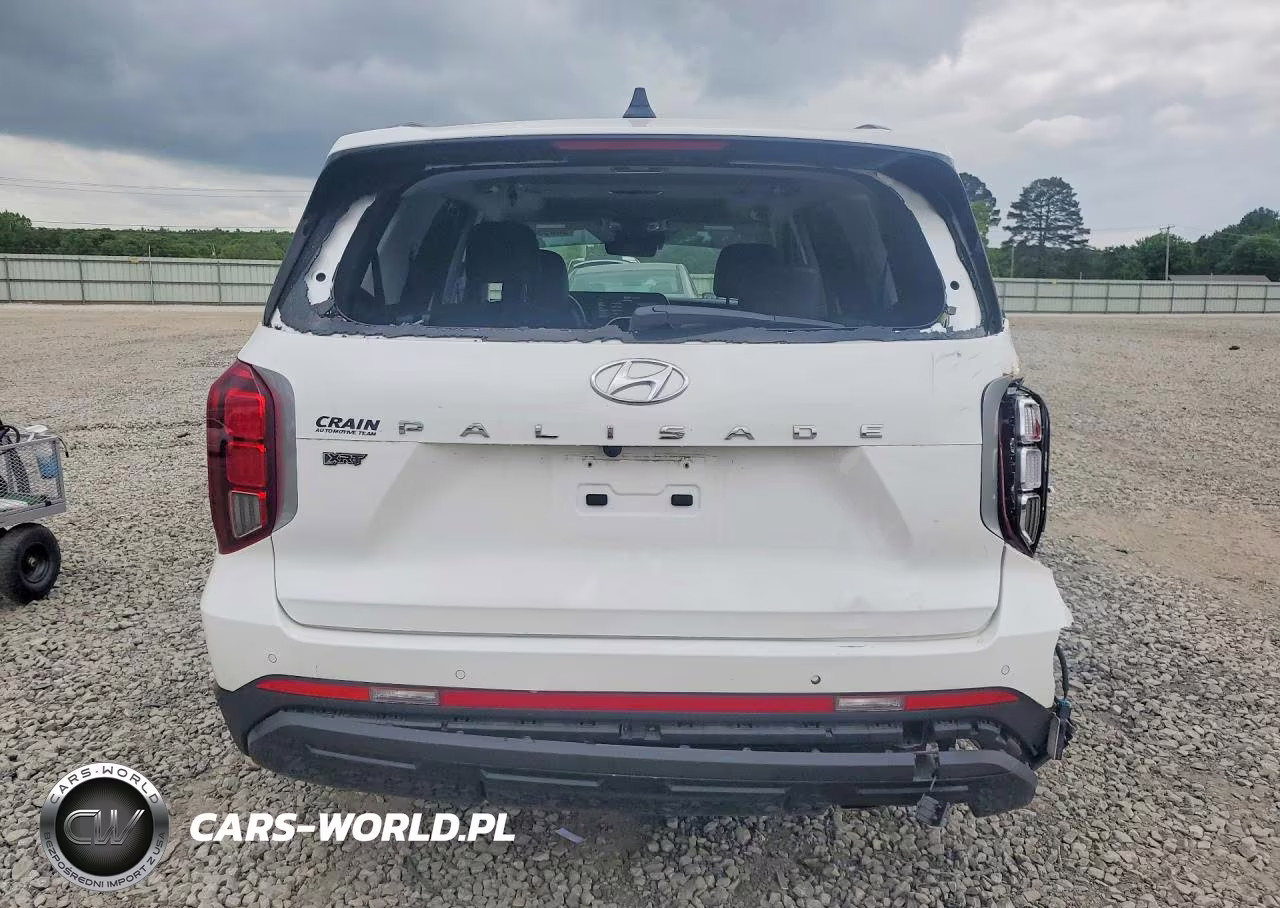 2024 Hyundai Palisade Xrt VIN:KM8R34GE0RU725493 - 6