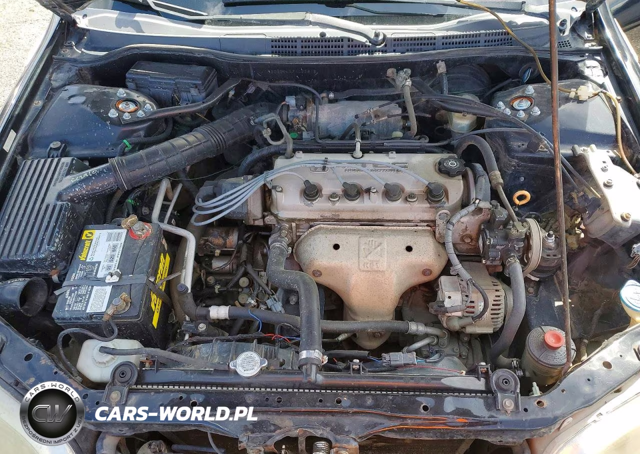 1999 Honda Accord Lx VIN:1HGCG564XXA062818 - 11