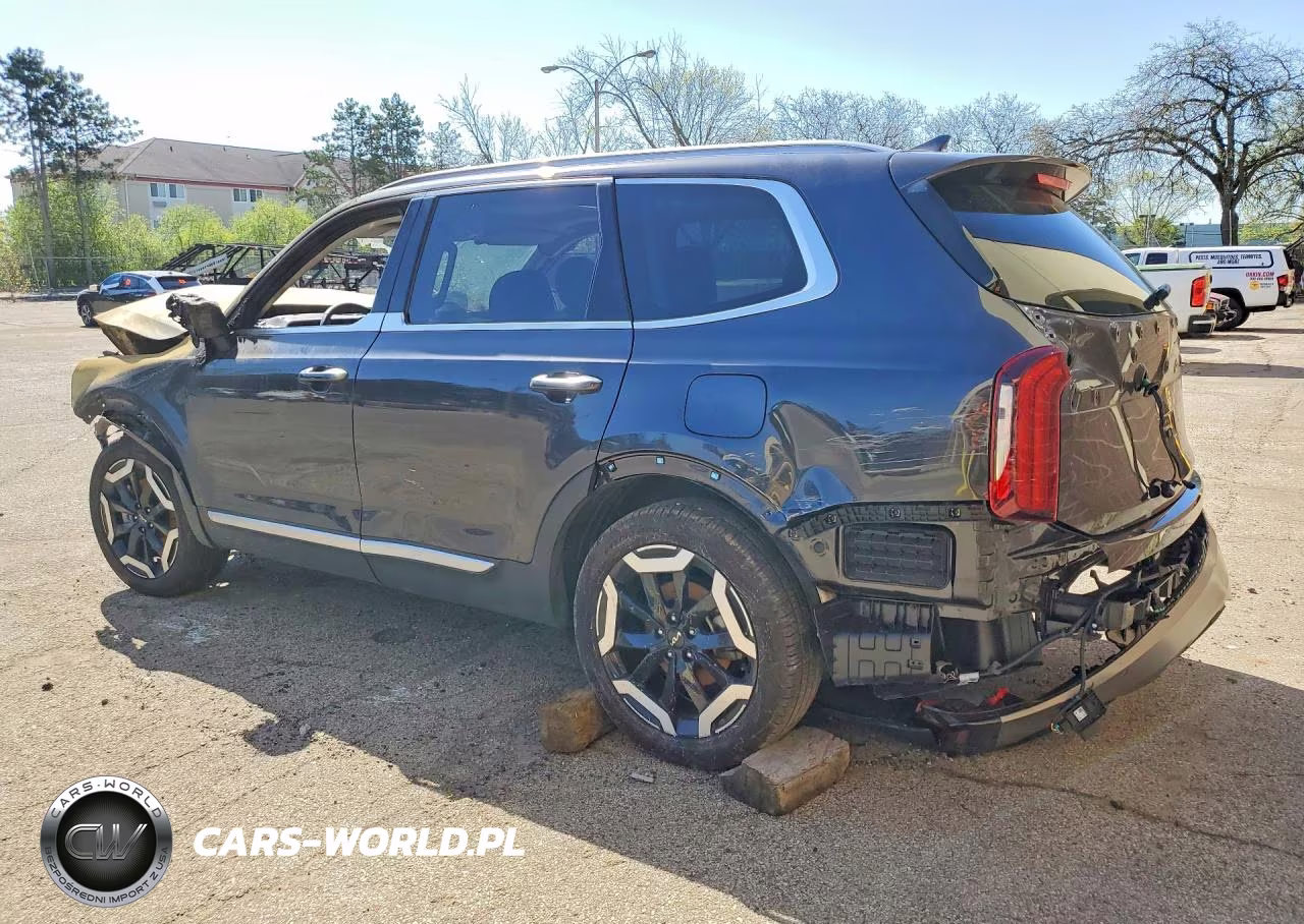 2025 Kia Telluride S VIN:5XYP6DGC9SG694267 - 2