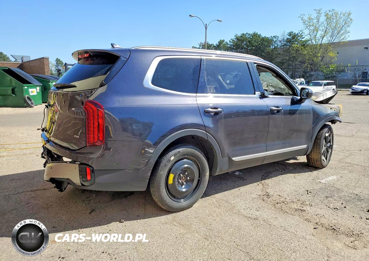 2025 Kia Telluride S VIN:5XYP6DGC9SG694267 - 3