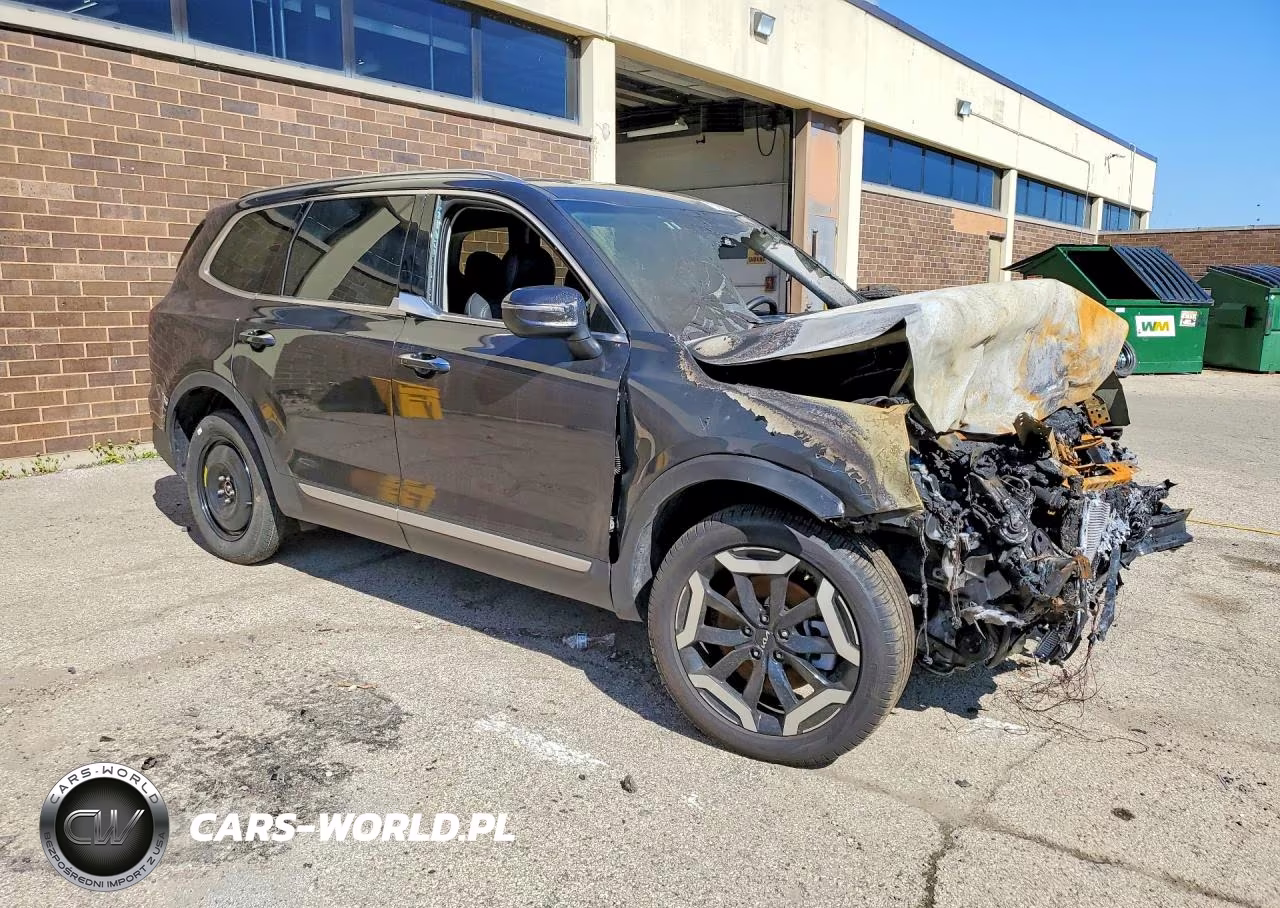 2025 Kia Telluride S VIN:5XYP6DGC9SG694267 - 4