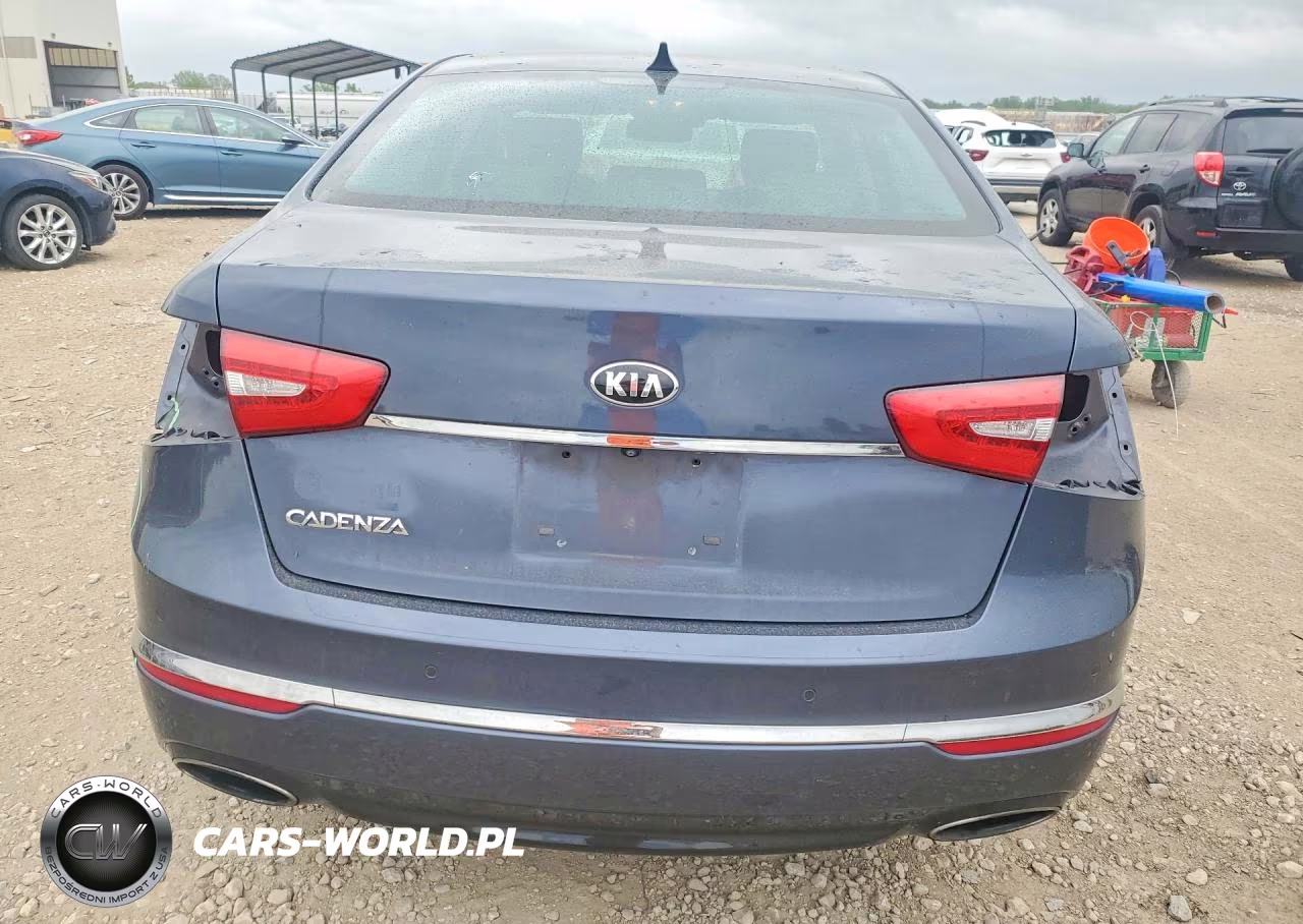 2015 Kia Cadenza Premium VIN:KNALN4D76F5171907 - 6