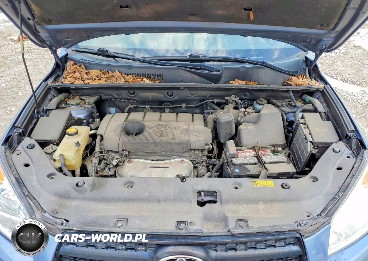2011 Toyota Rav4 Base VIN:2T3BF4DV4BW165004 - 12