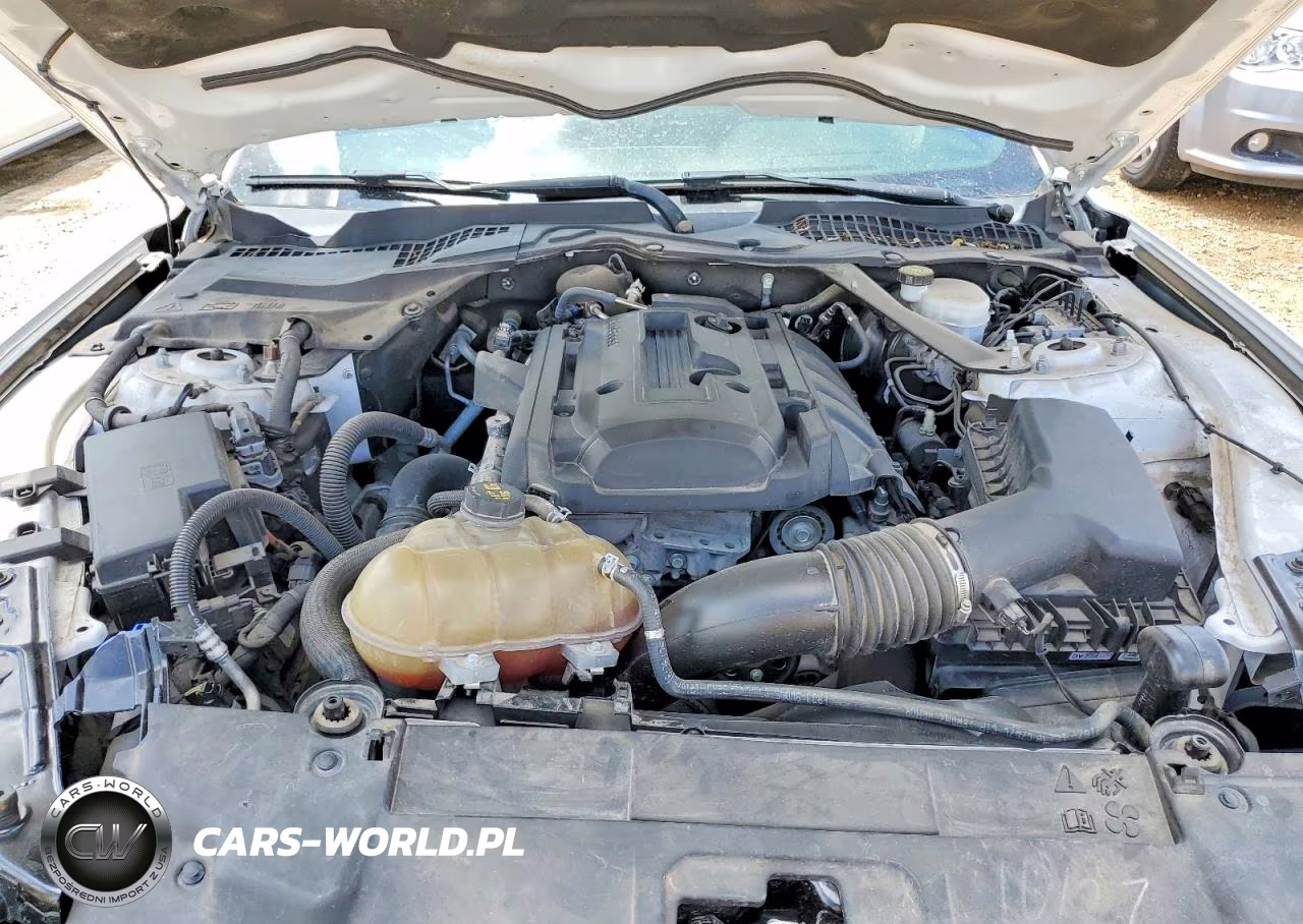2020 Ford Mustang VIN:1FATP8UH6L5125783 - 11