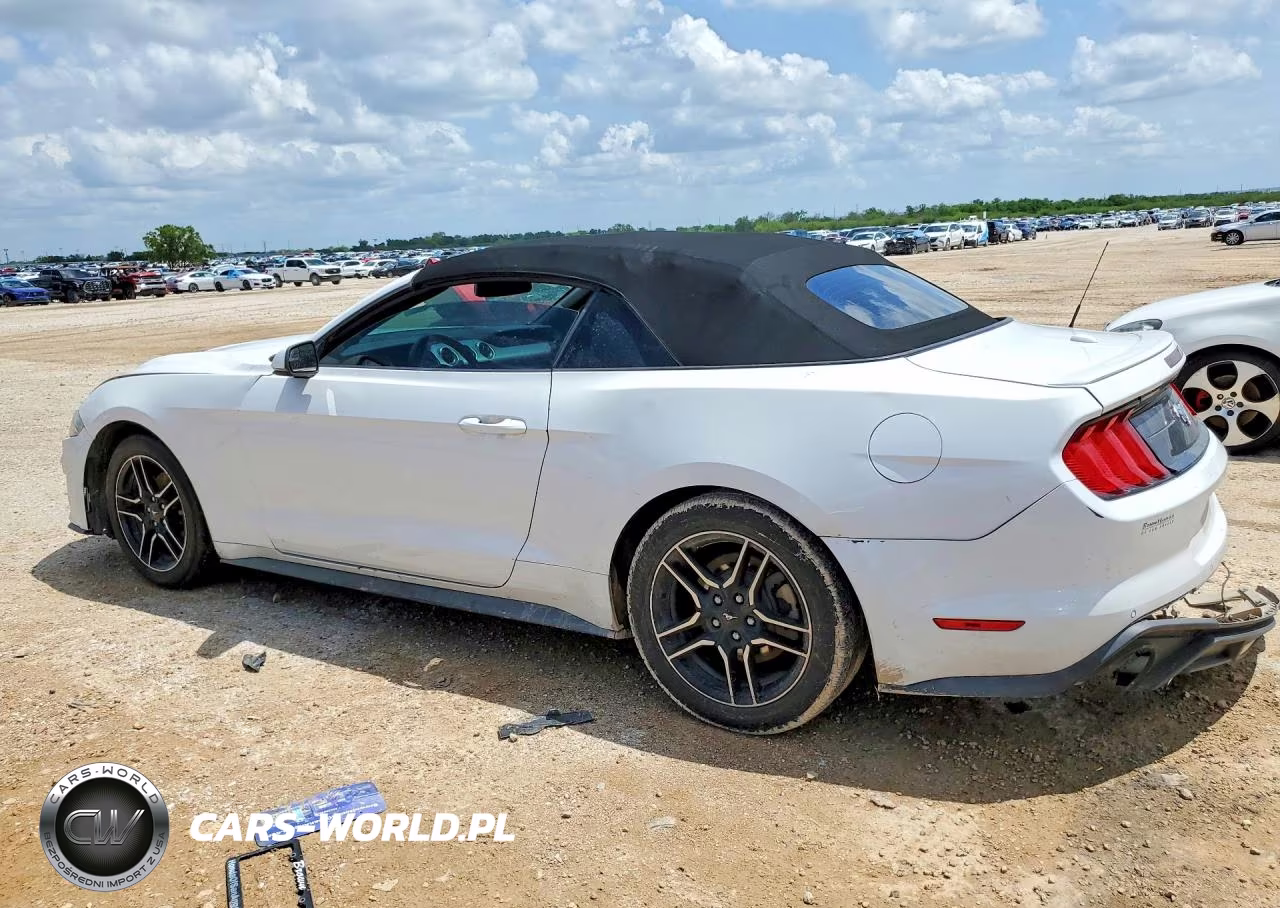 2020 Ford Mustang VIN:1FATP8UH6L5125783 - 2