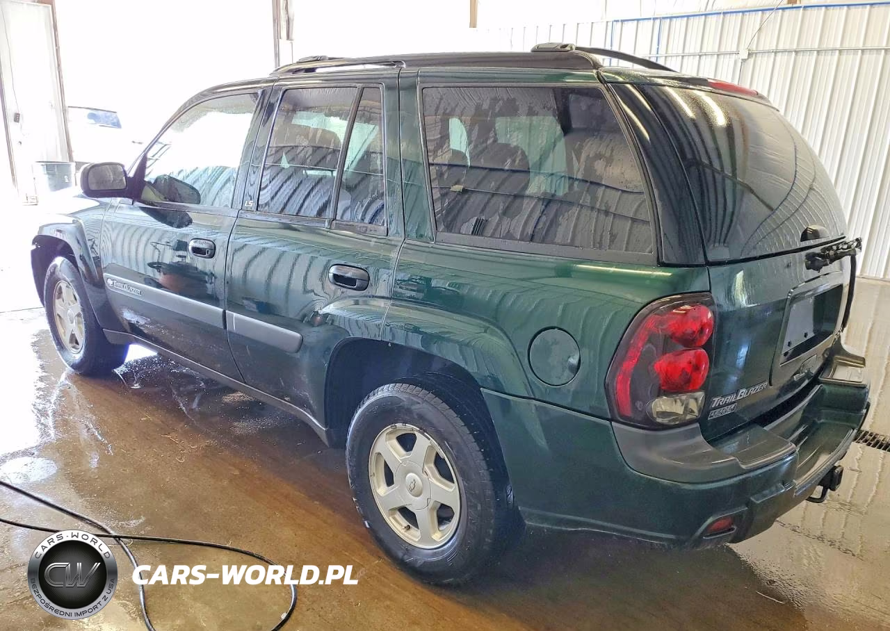 2003 Chevrolet Trailblazer VIN:1GNDT13S432217191 - 2