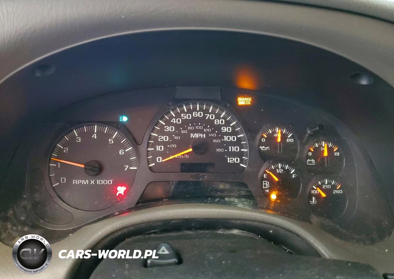 2003 Chevrolet Trailblazer VIN:1GNDT13S432217191 - 9