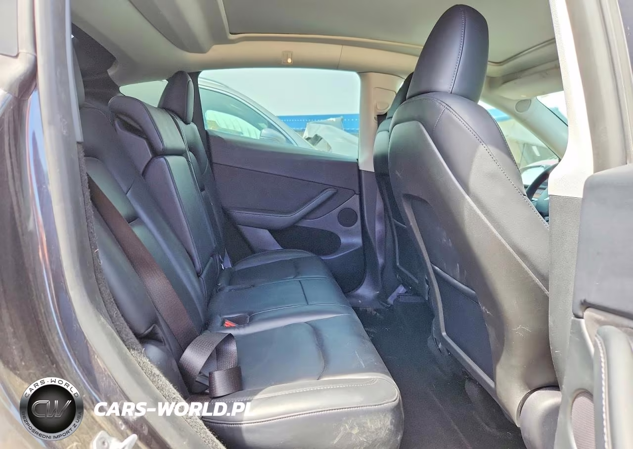 2024 Tesla Model Y VIN:7SAYGDEE8RF160817 - 10