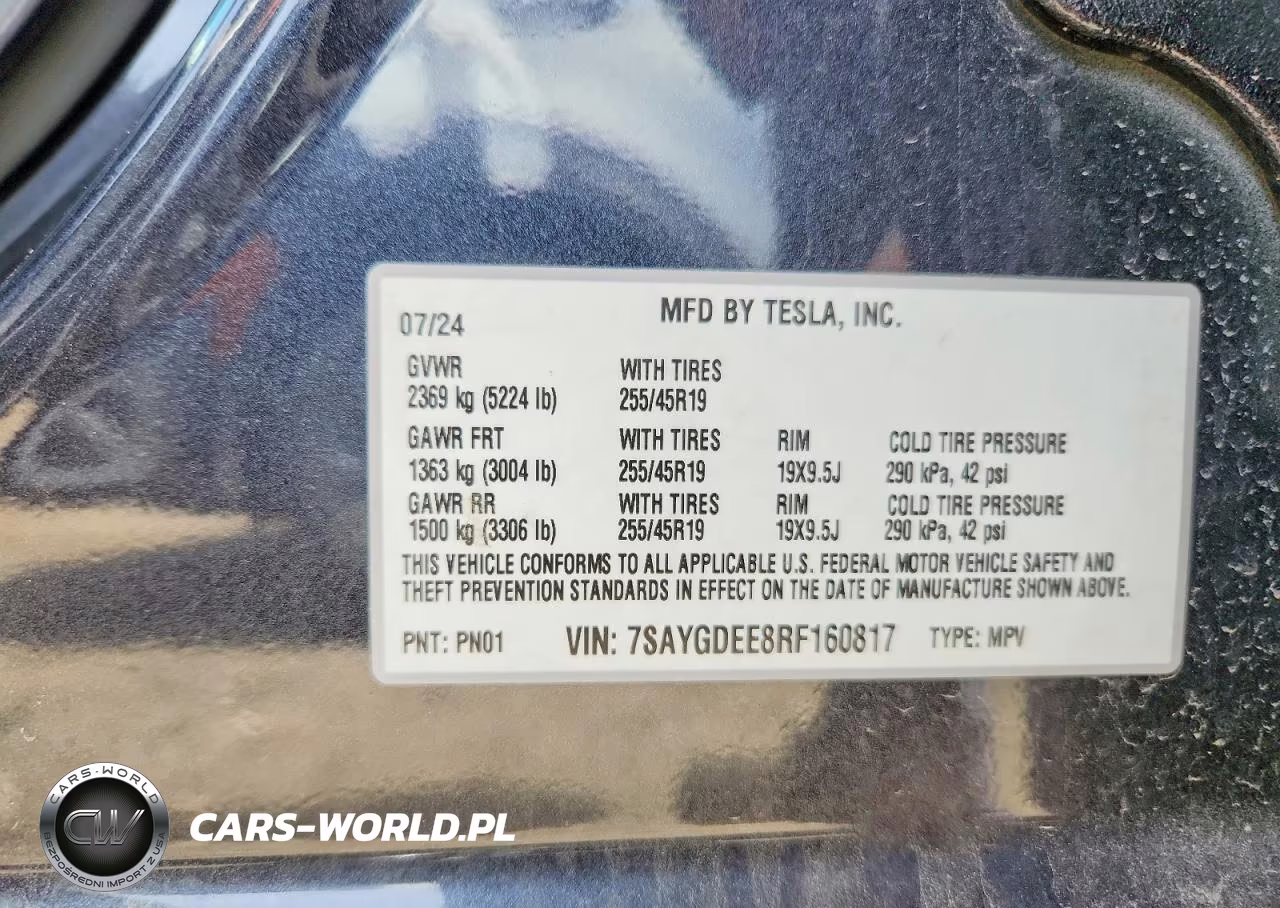 2024 Tesla Model Y VIN:7SAYGDEE8RF160817 - 12