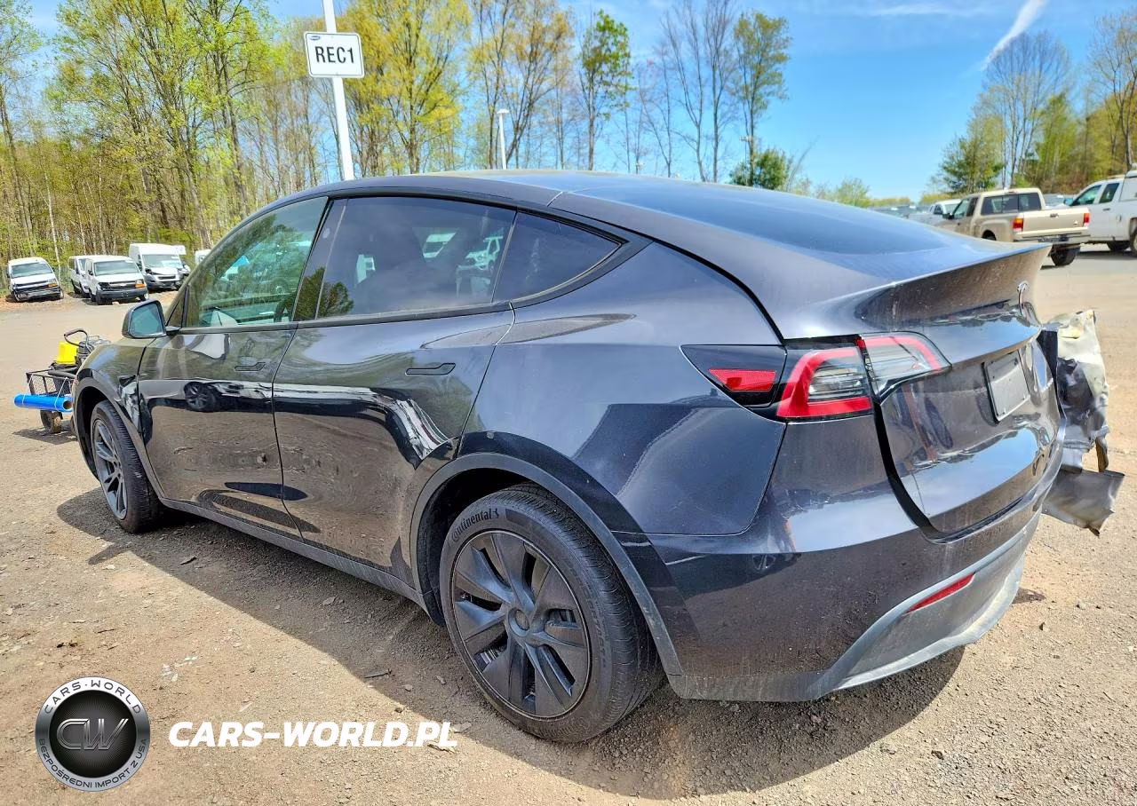2024 Tesla Model Y VIN:7SAYGDEE8RF160817 - 2
