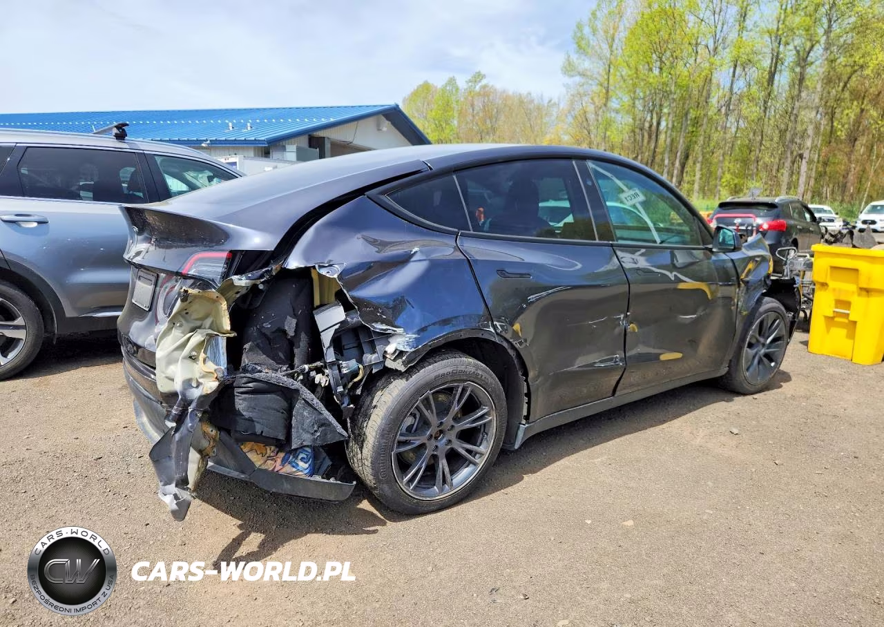 2024 Tesla Model Y VIN:7SAYGDEE8RF160817 - 3