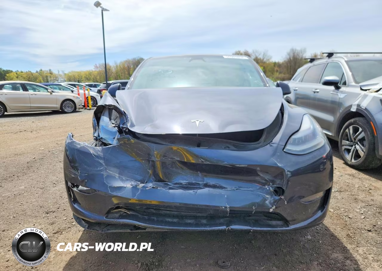 2024 Tesla Model Y VIN:7SAYGDEE8RF160817 - 5