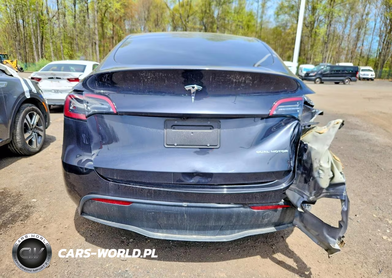 2024 Tesla Model Y VIN:7SAYGDEE8RF160817 - 6