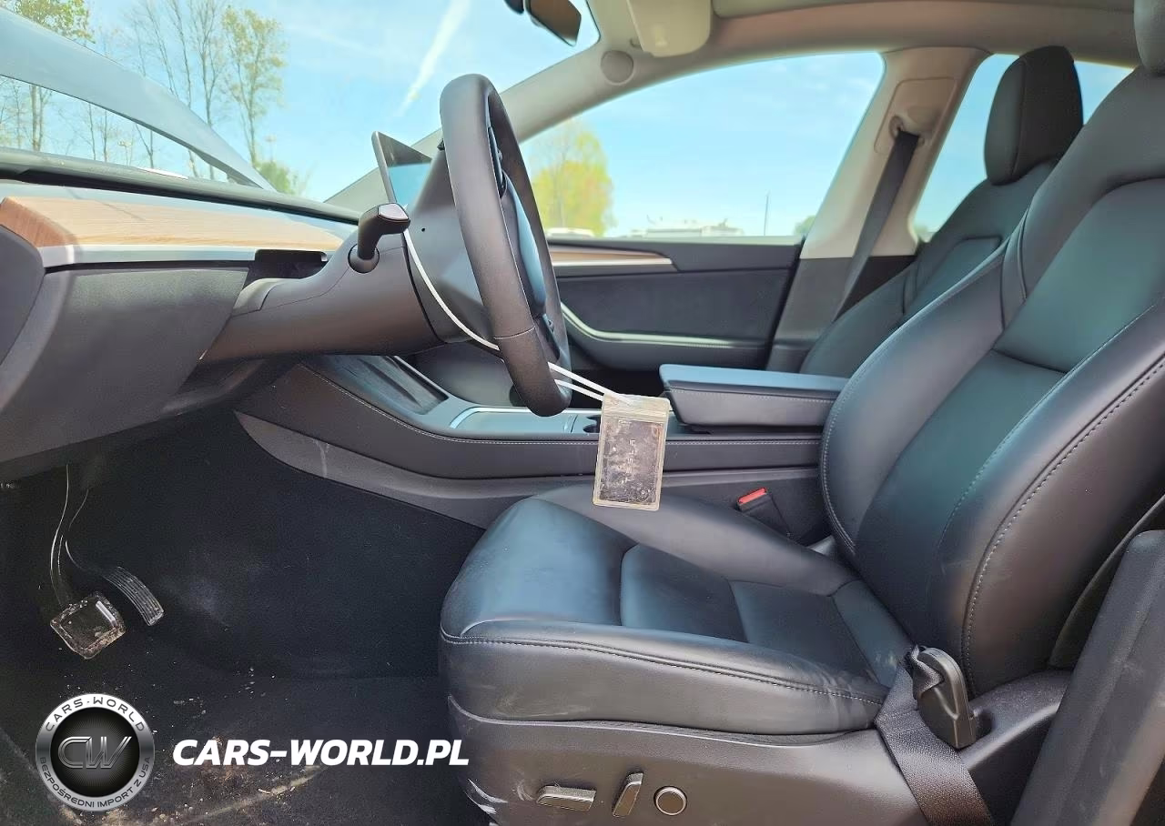 2024 Tesla Model Y VIN:7SAYGDEE8RF160817 - 7