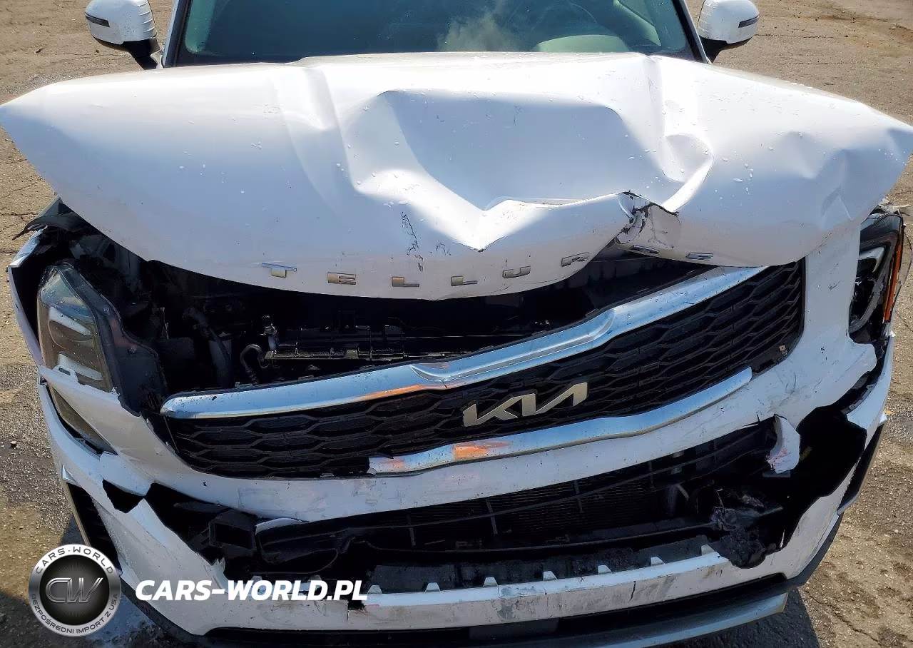 2022 Kia Telluride Ex VIN:5XYP34HC7NG235640 - 12