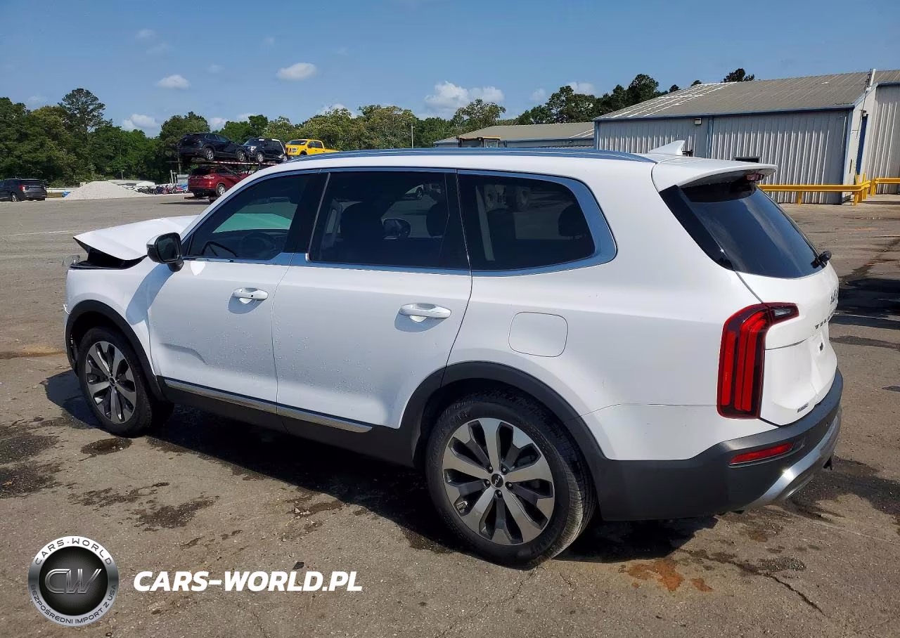 2022 Kia Telluride Ex VIN:5XYP34HC7NG235640 - 2
